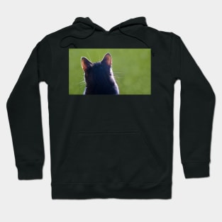 Cat Ears Hoodie